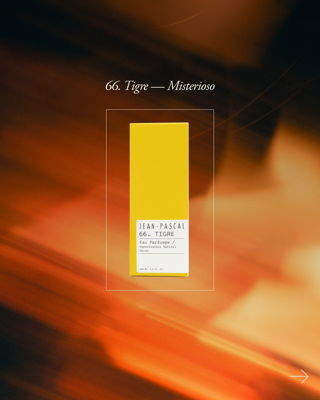 66.TIGRE 100ml