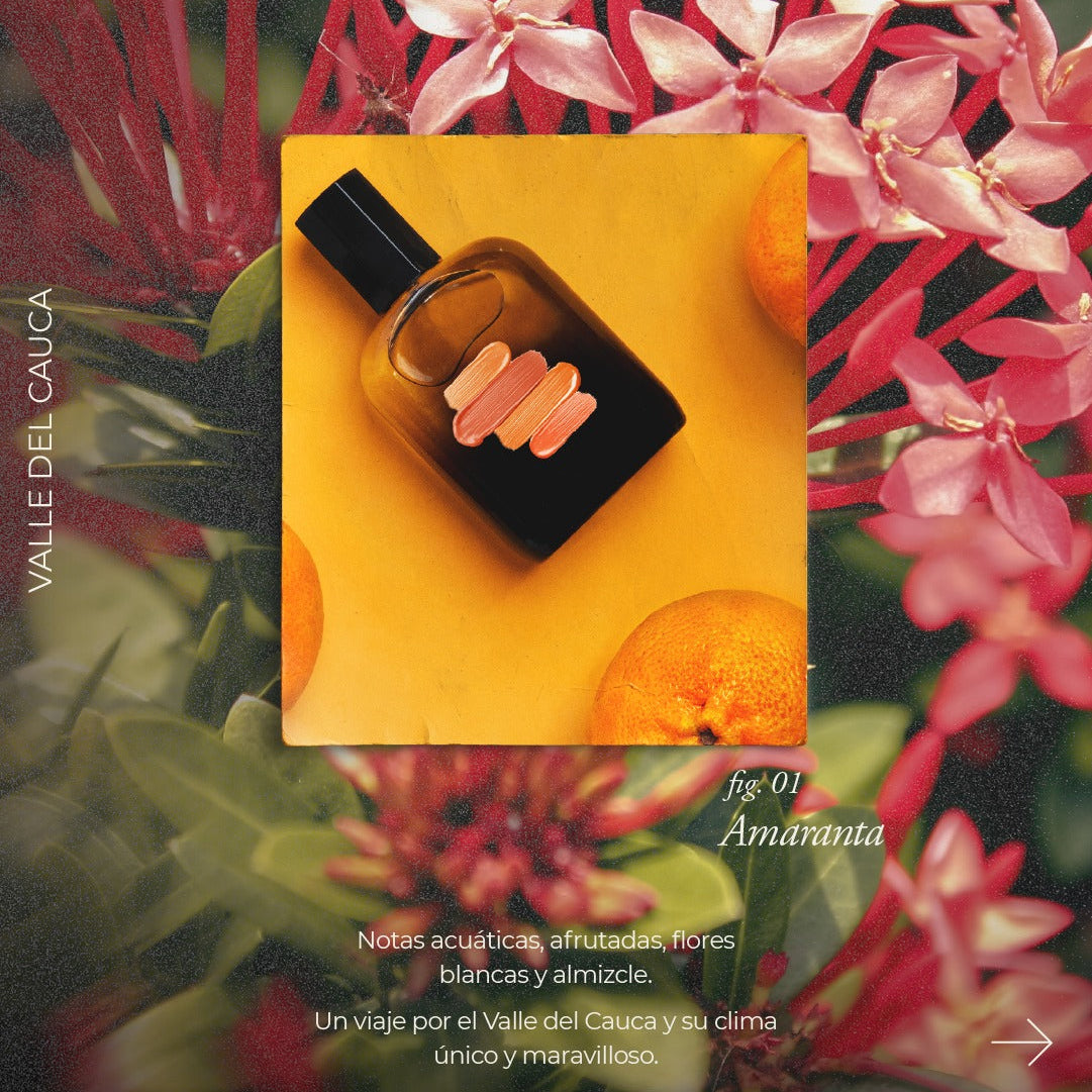 Les Tops // Territorios. AMARANTA 120 ml